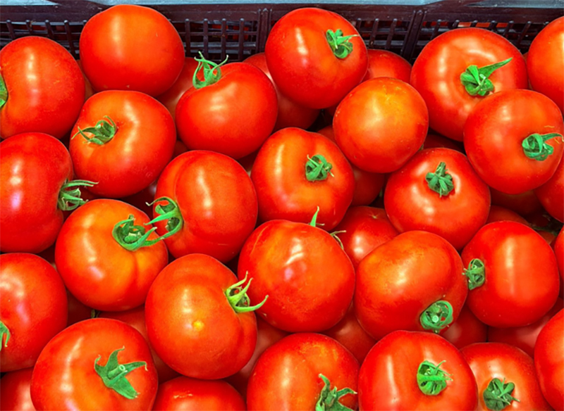 Pomodoro grappolo - Sardegna - da 1,80 a 2,20 euro al chilogrammo